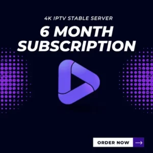 6 Months Plan