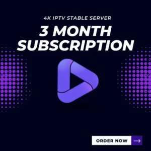 3 Months Plan