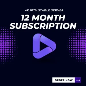 12 Months Plan